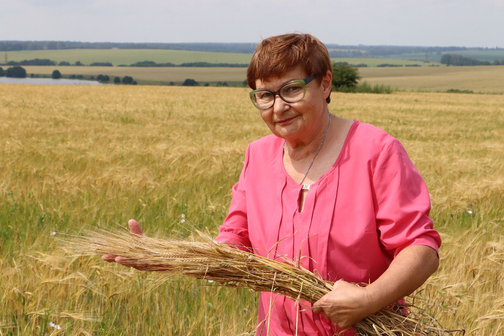Серебряные Пруды, сельское хозяйство, урожай 2023