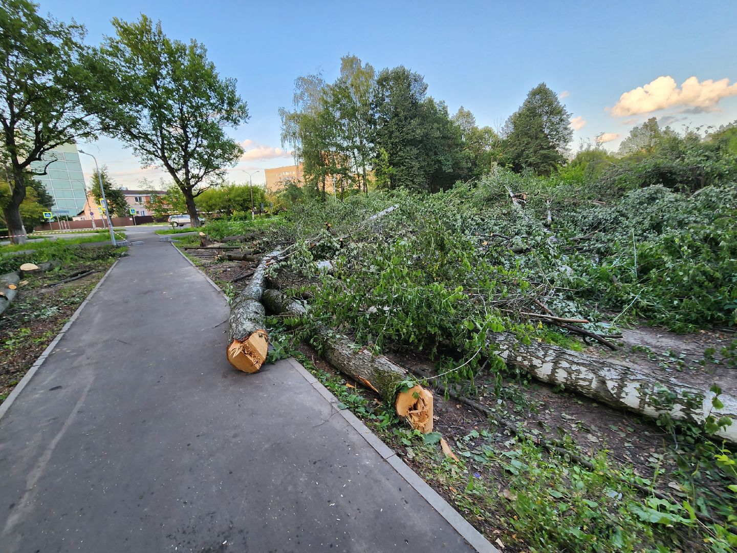 Подольск, строительство, школа