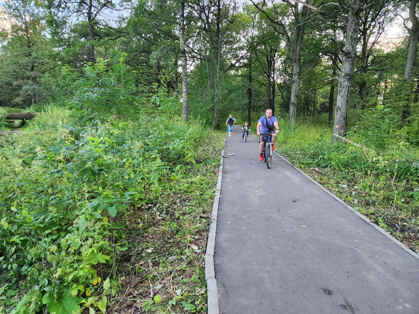 Подольск, строительство, школа