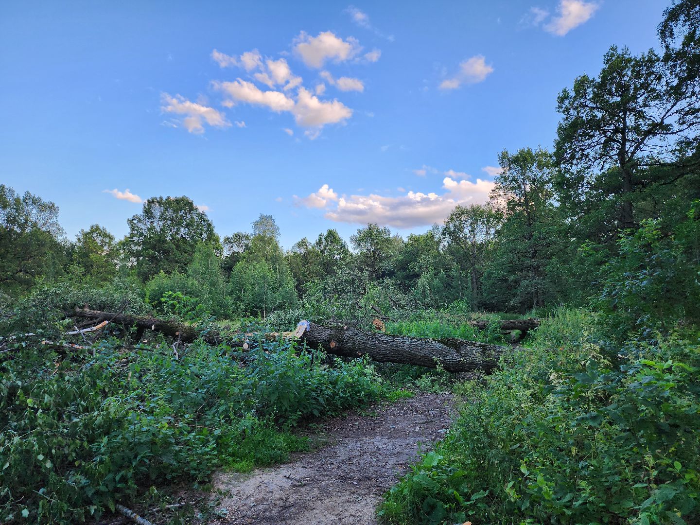 Подольск, строительство, школа