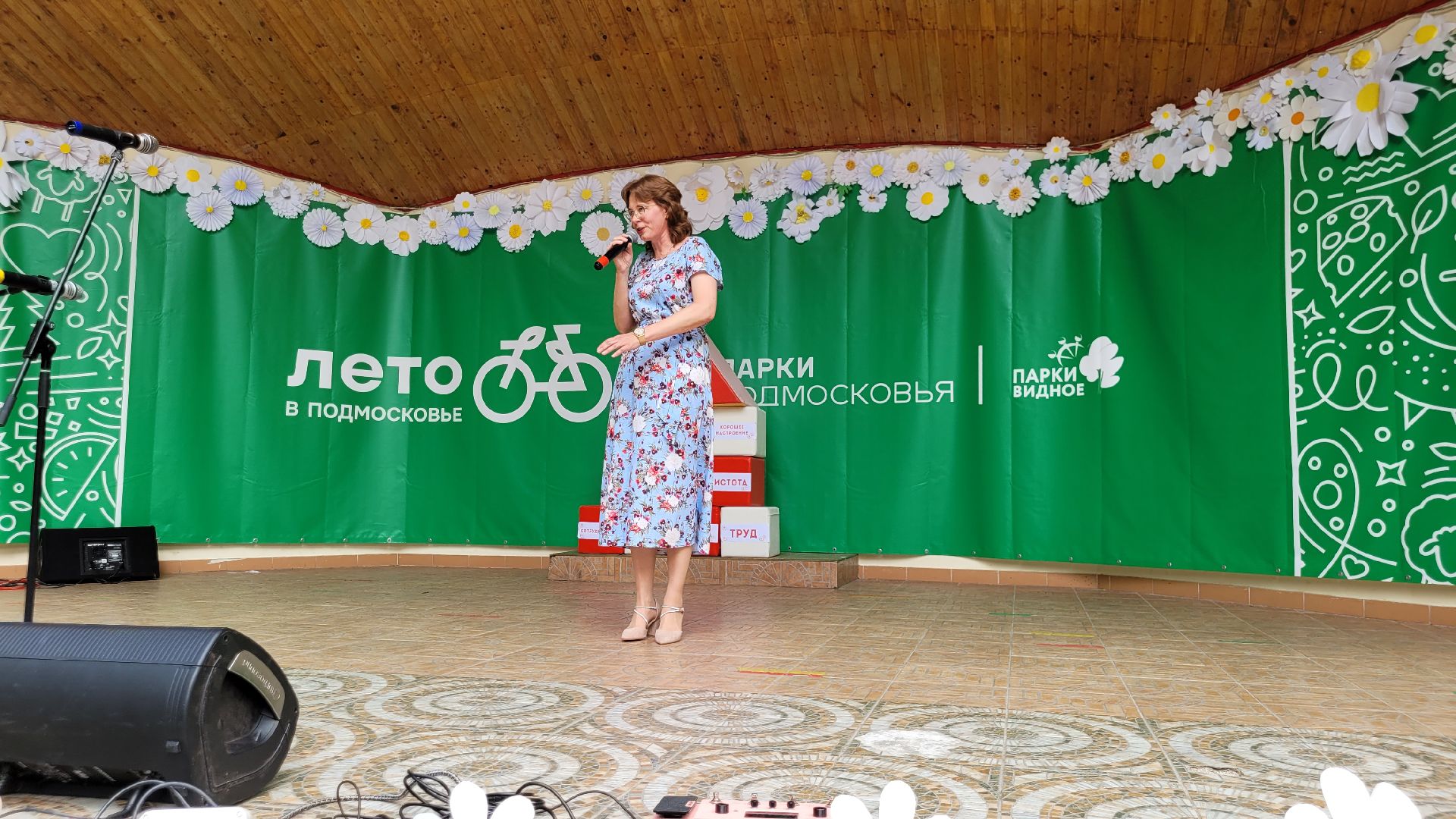 гитара; струны; музыка; видное; творчество