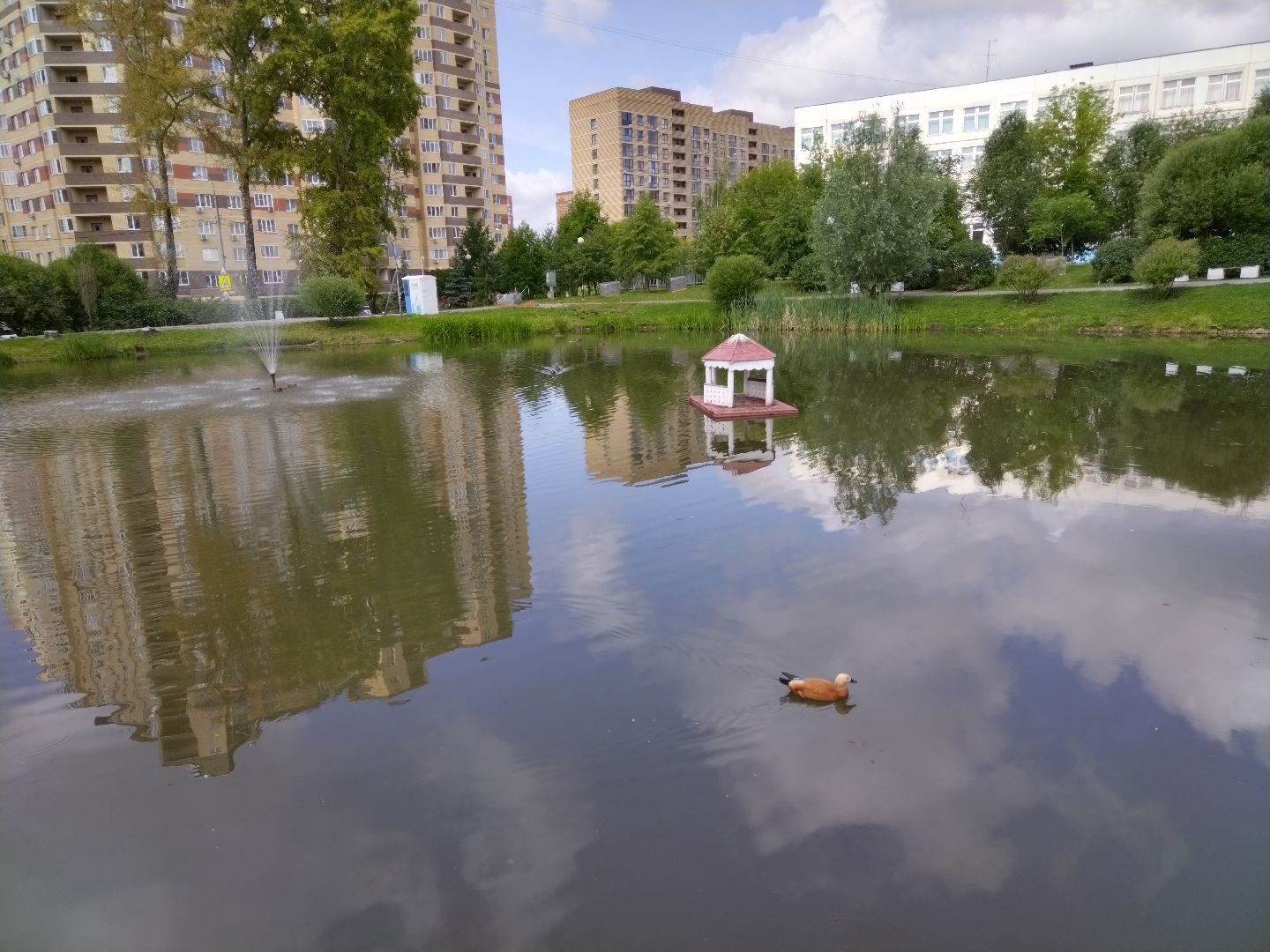 Мытищи, Ядреевский пруд, благоустройство, сквер на улице Колпакова