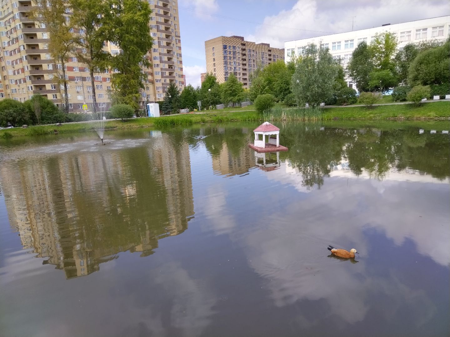 Мытищи, Ядреевский пруд, благоустройство, сквер на улице Колпакова