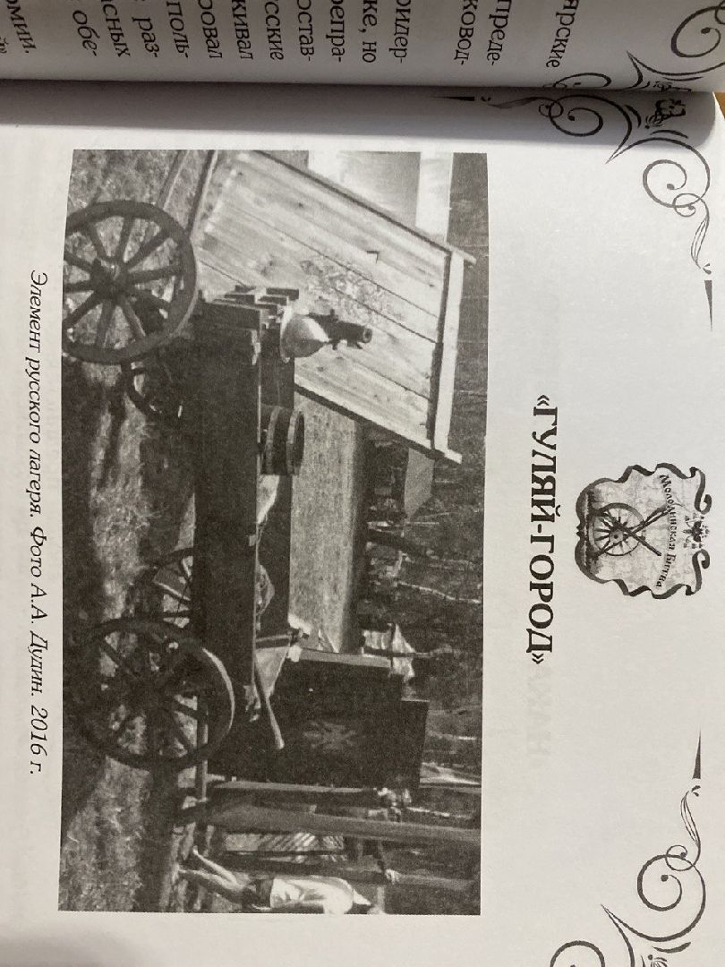 Чехов, Гуляй-город, Молоди, битва, историк, дубовый щит, победа