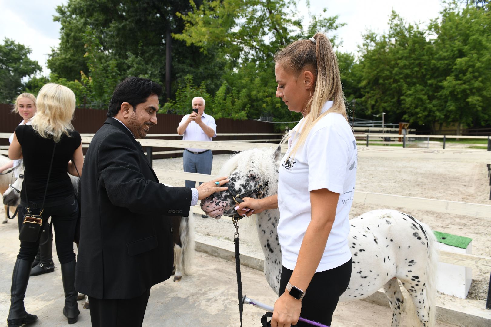 лыткарино, общество, тентпеггинг, конный спорт,