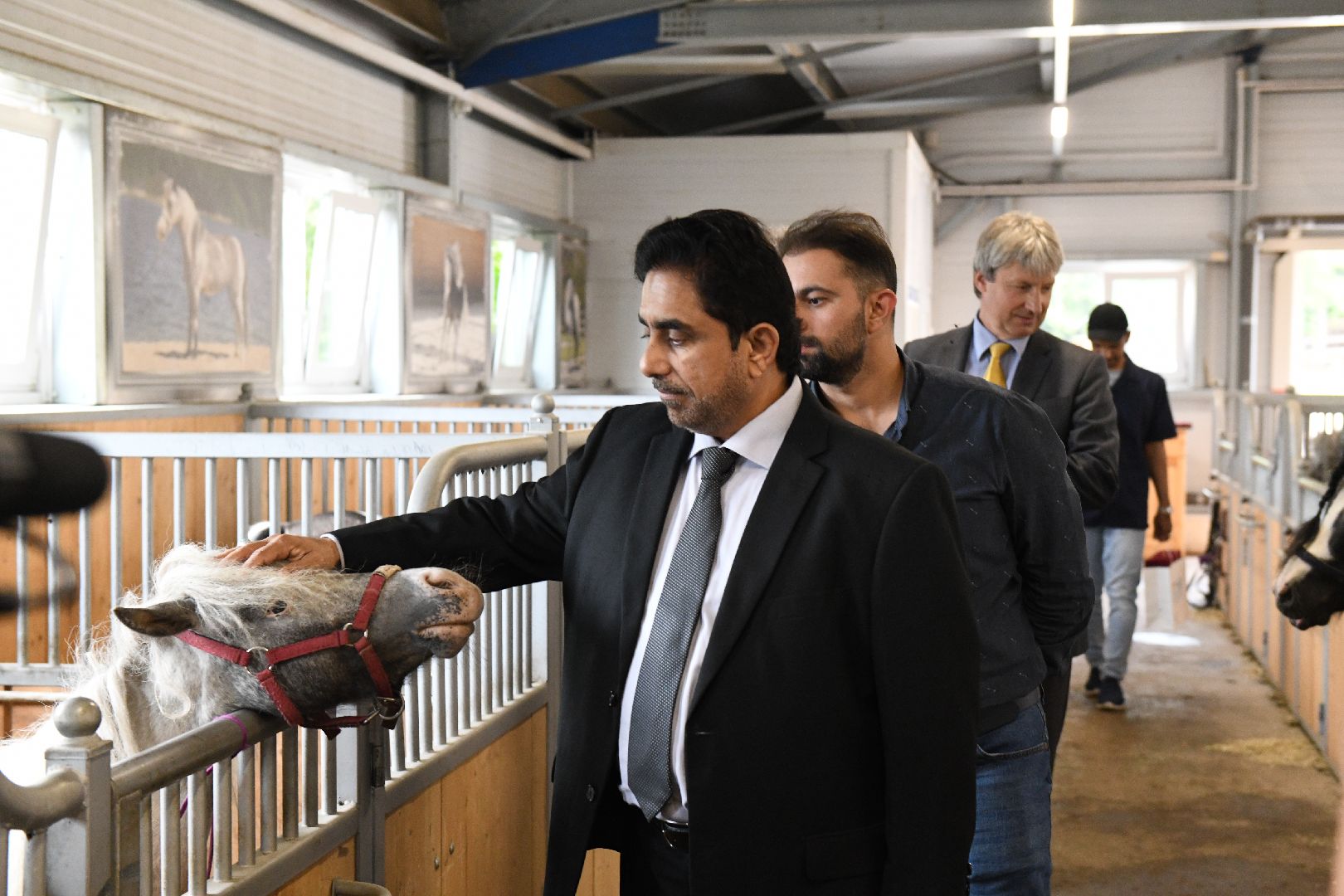 лыткарино, общество, тентпеггинг, конный спорт,