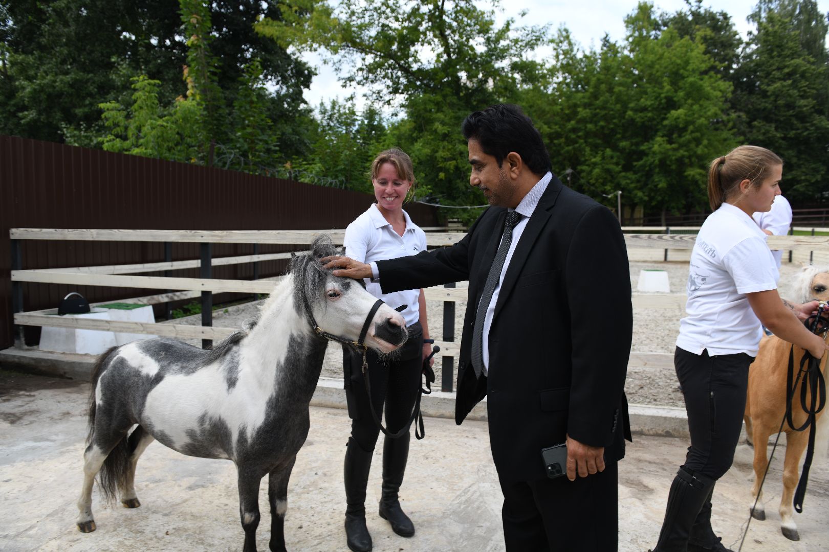 лыткарино, общество, тентпеггинг, конный спорт,