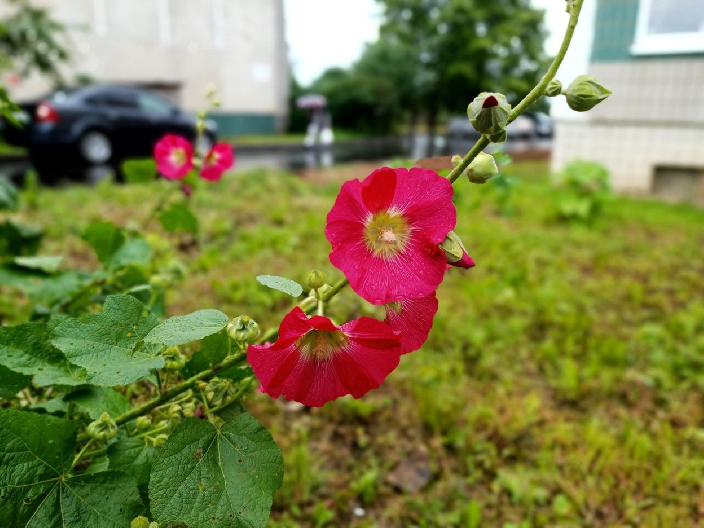 Можайск, Можайский городской округ, Подмосковье, благоустройство, дворовые территории, губернатор, жители, детская площадка, модернизация