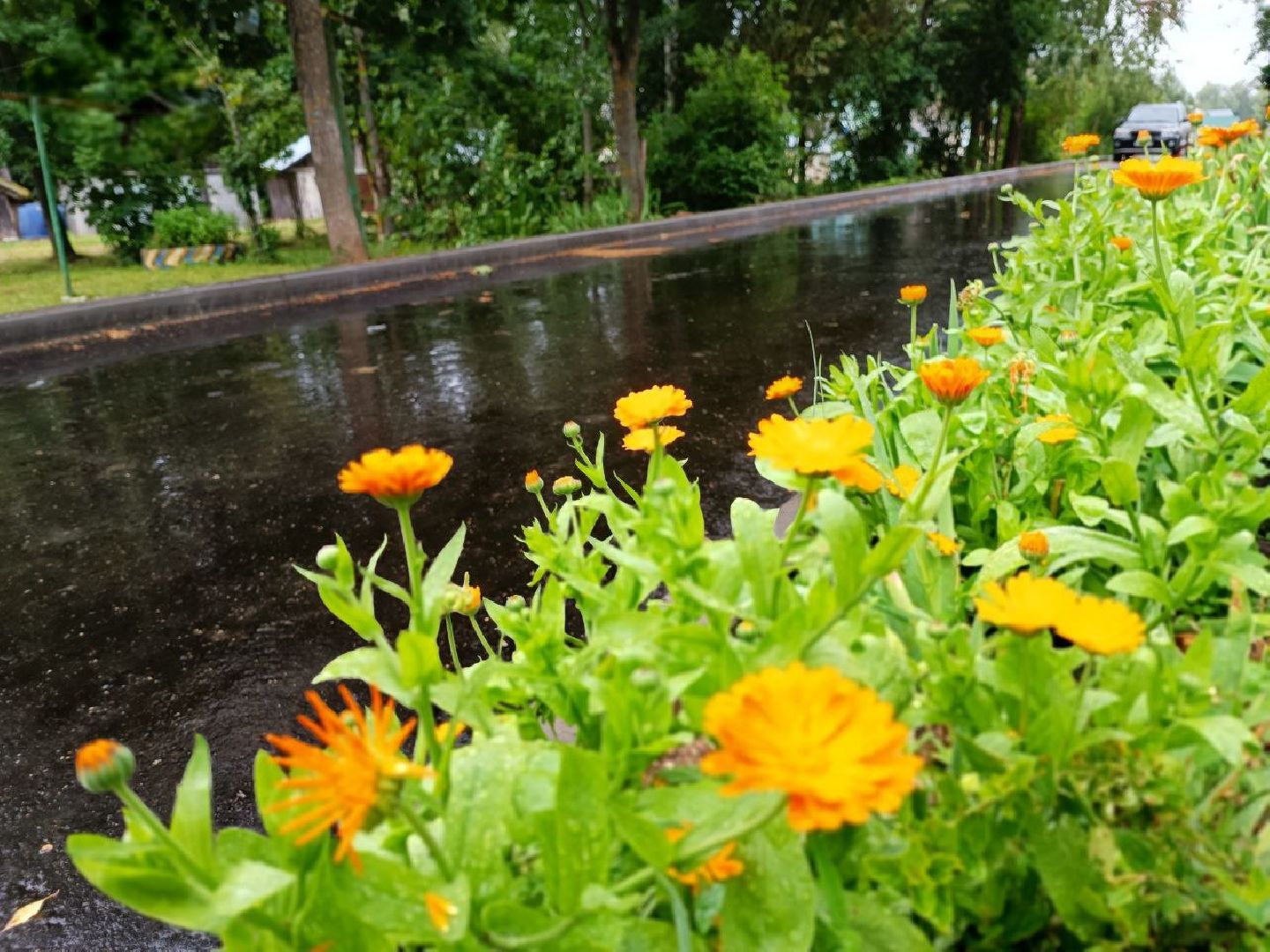 Можайск, Можайский городской округ, Подмосковье, благоустройство, дворовые территории, губернатор, жители, детская площадка, модернизация