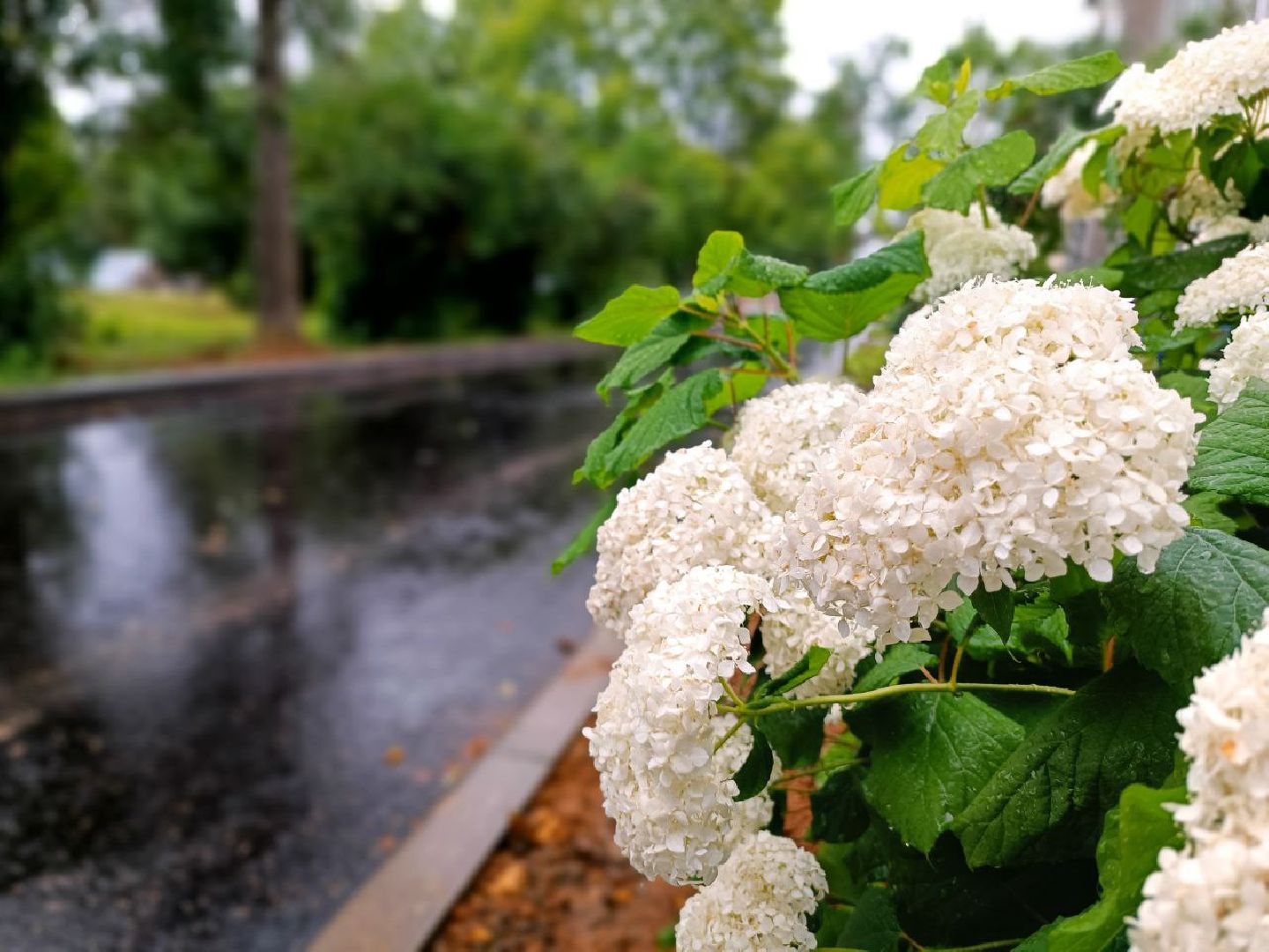 Можайск, Можайский городской округ, Подмосковье, благоустройство, дворовые территории, губернатор, жители, детская площадка, модернизация