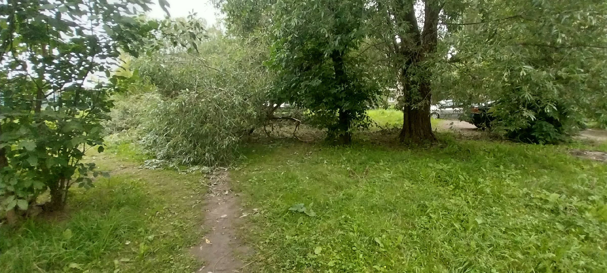 Коломна, благоустройство, уборка дворовых территорий