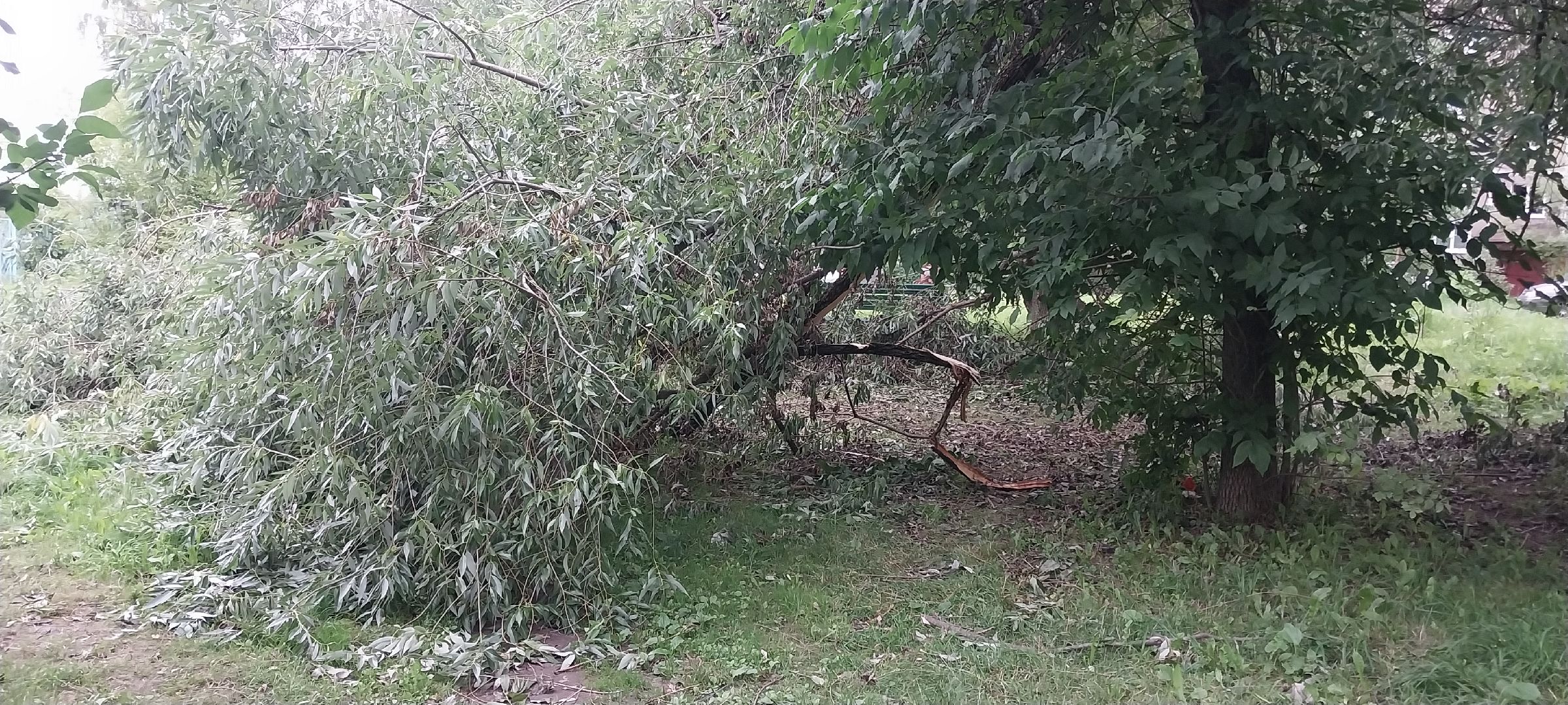 Коломна, благоустройство, уборка дворовых территорий