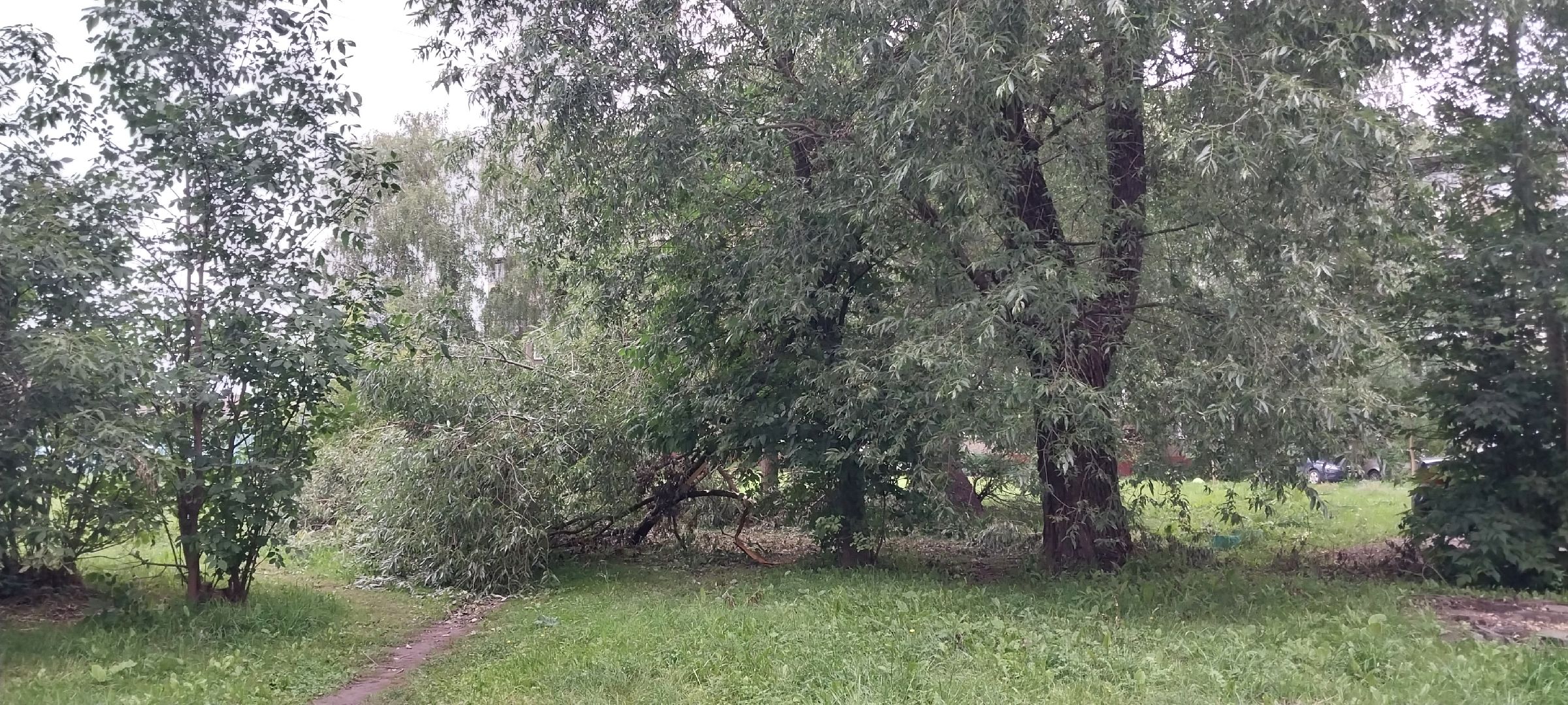 Коломна, благоустройство, уборка дворовых территорий