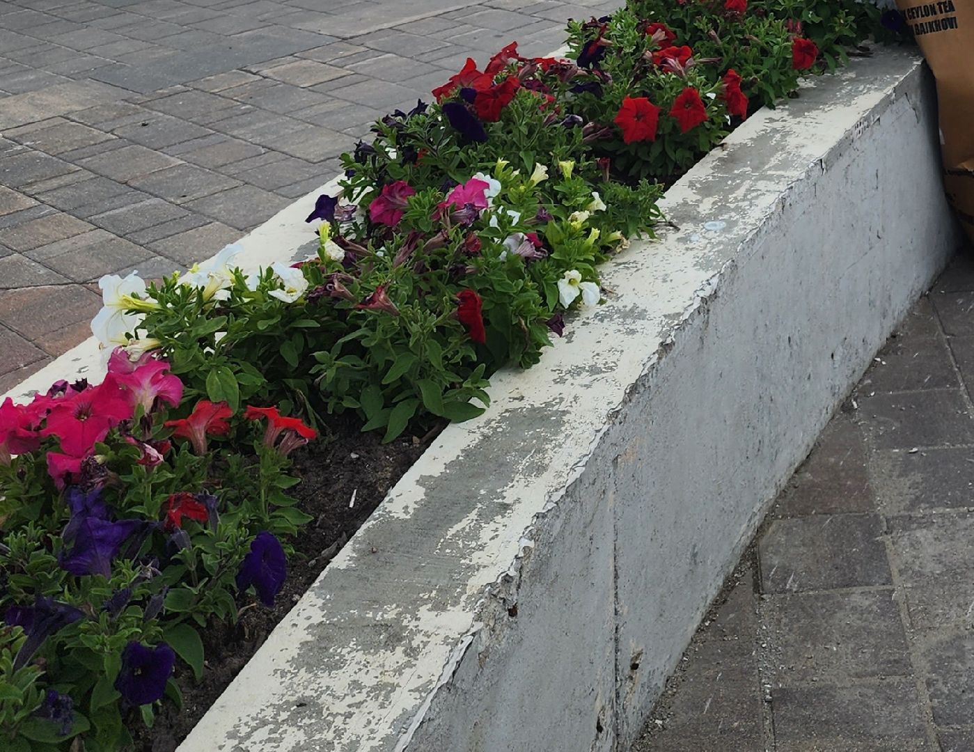 Павловский Посад, городской округ Павловский Посад, вокзал, люди, клумбы, ремонт, строительство, цветы, благоустройство
