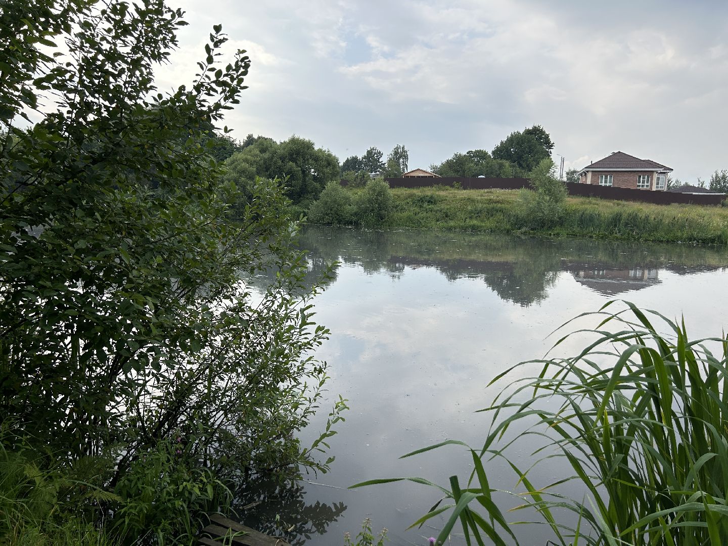 Экология, река, Клязьма, Щёлково