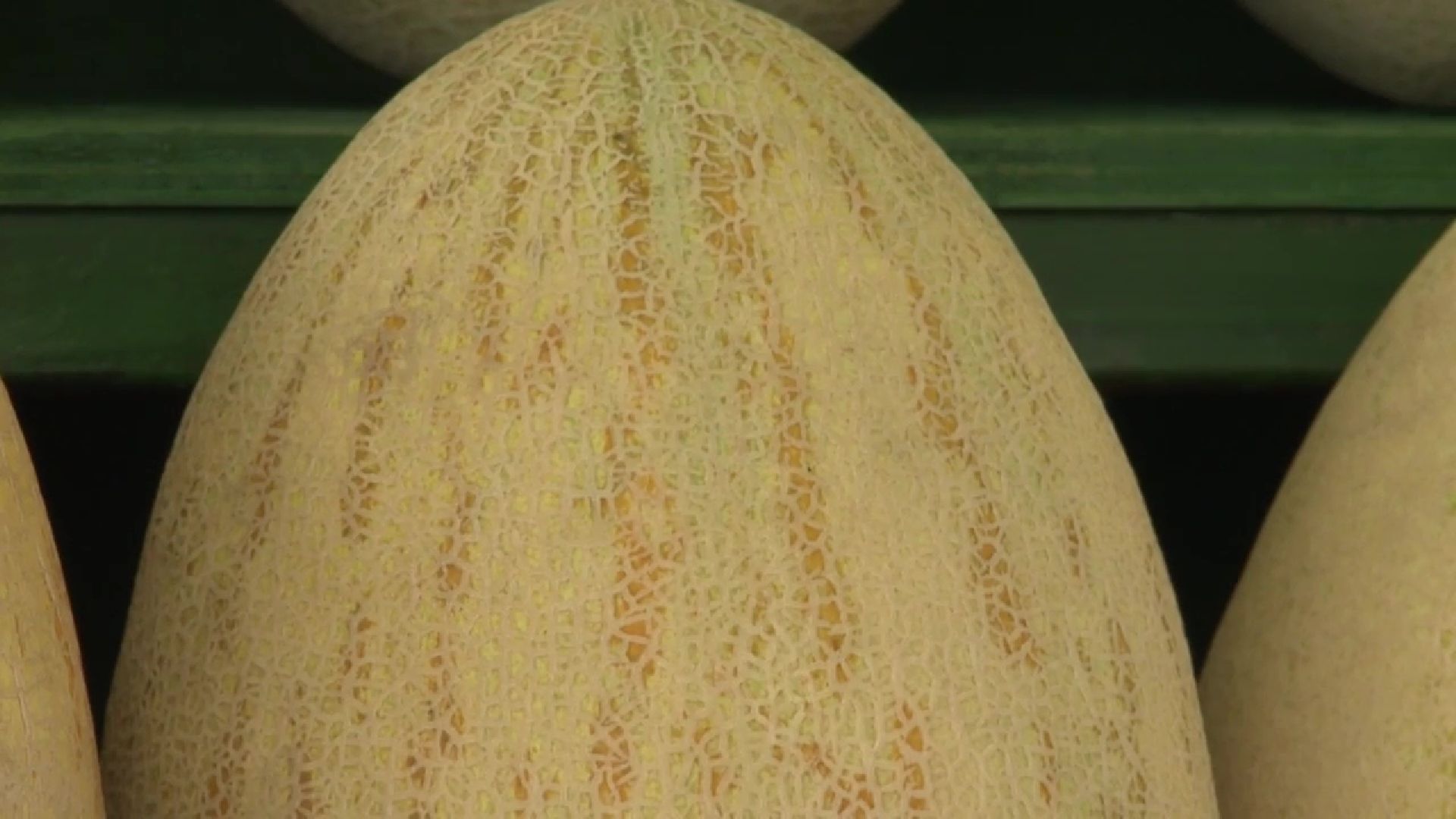 Реутов, сезон ягод, арбузы, дыни, бахчевые развалы