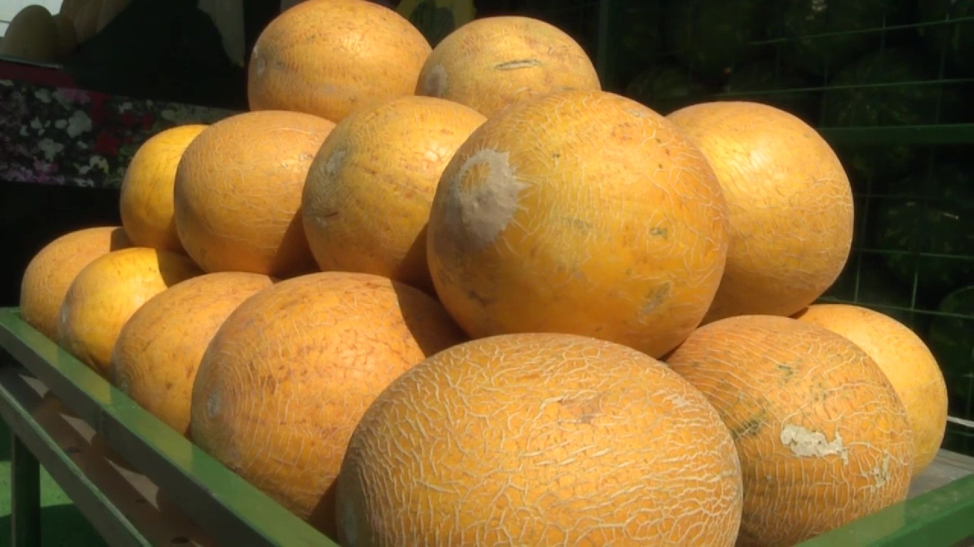 Реутов, сезон ягод, арбузы, дыни, бахчевые развалы