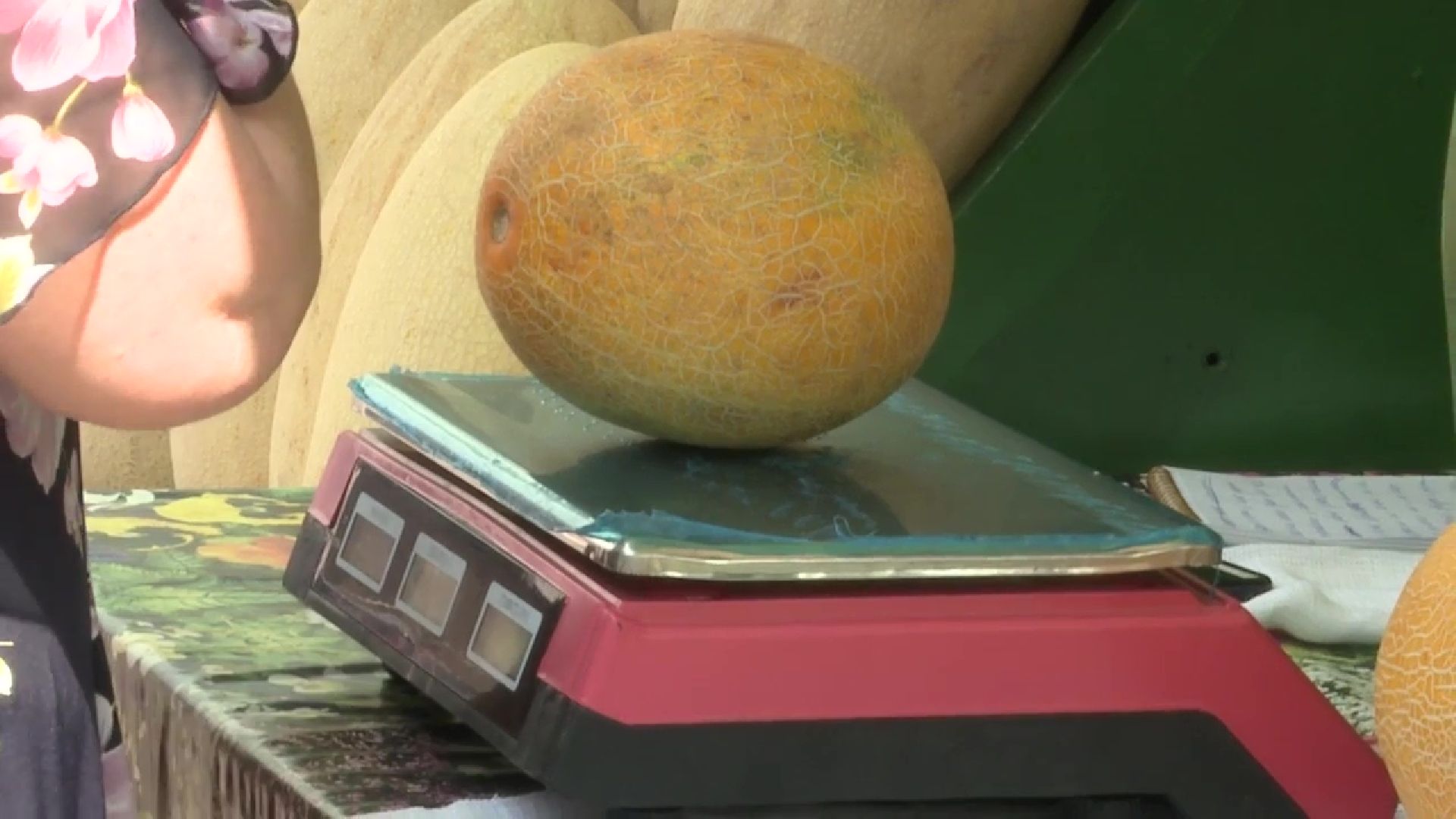 Реутов, сезон ягод, арбузы, дыни, бахчевые развалы