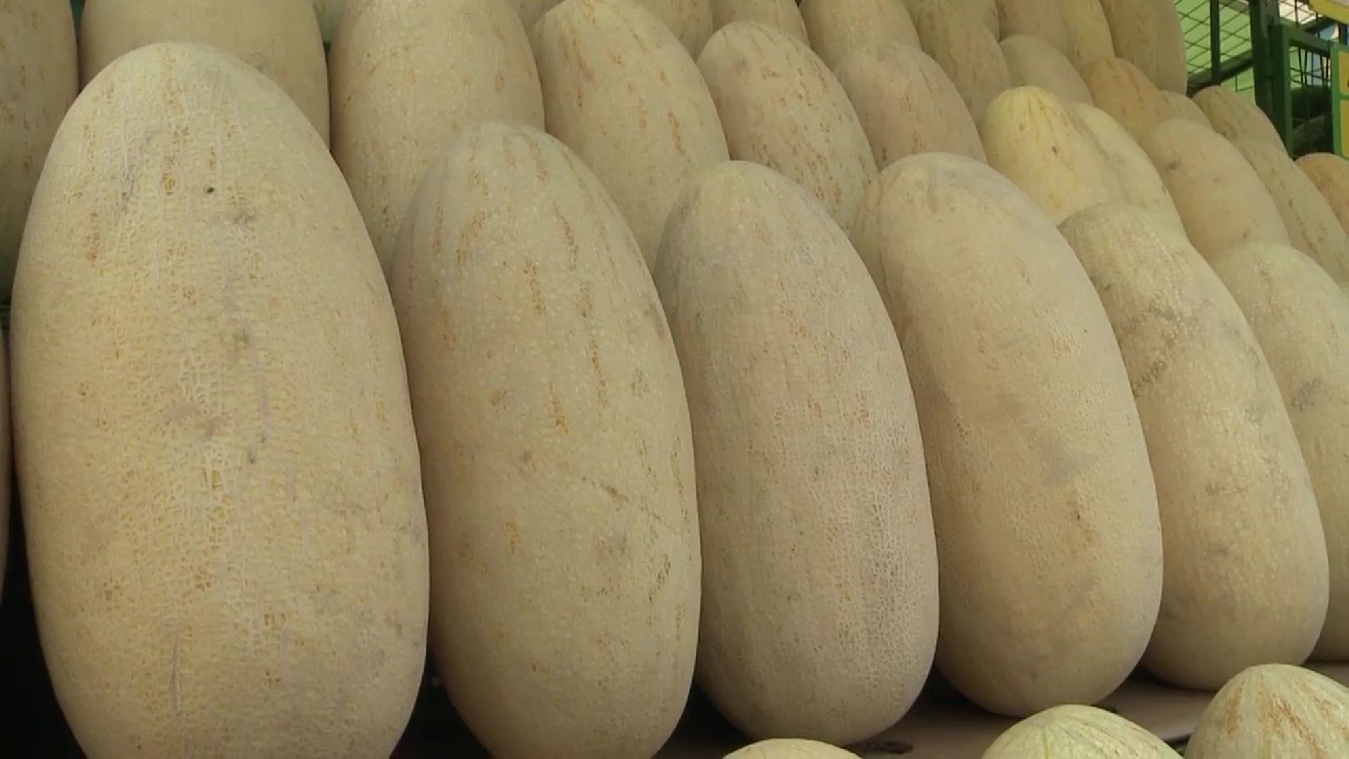 Реутов, сезон ягод, арбузы, дыни, бахчевые развалы