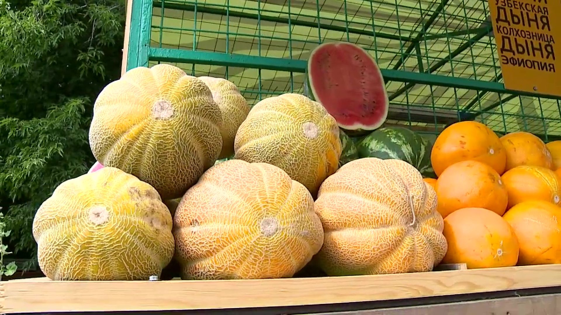 Реутов, сезон ягод, арбузы, дыни, бахчевые развалы