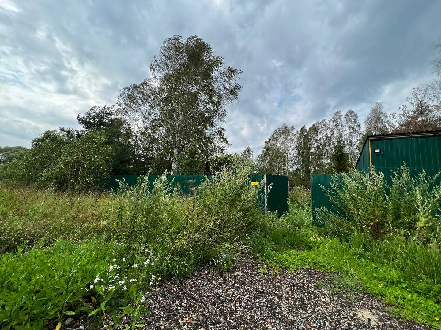 #Шатура#Новошино#нарколаборатория