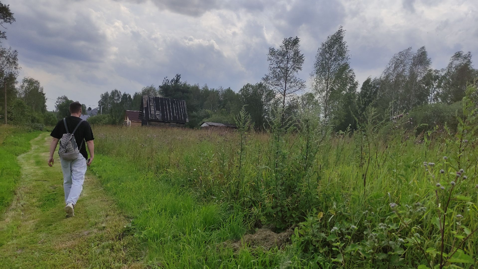 #Шатура#Новошино#нарколаборатория