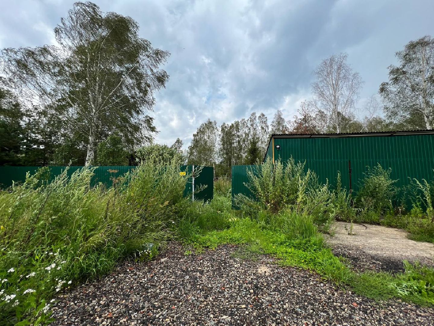 #Шатура#Новошино#нарколаборатория