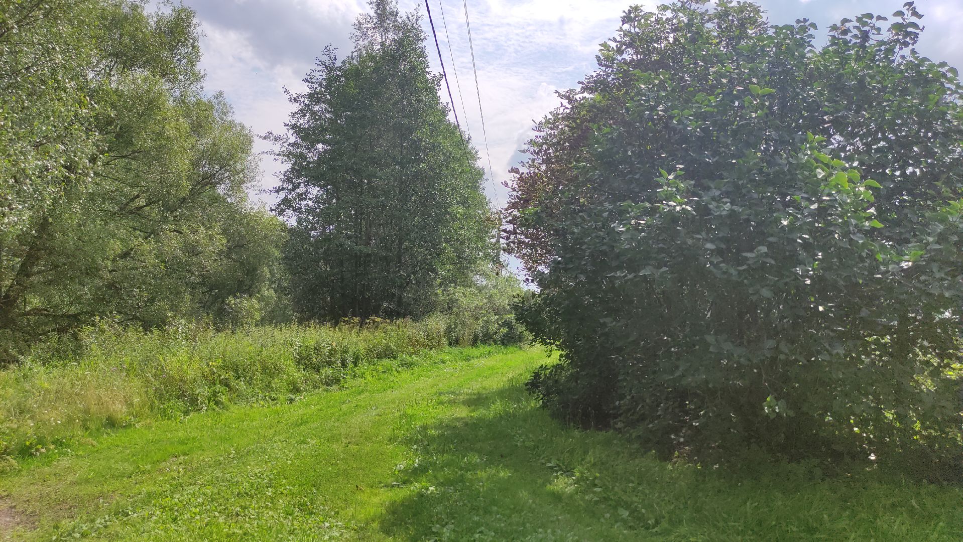 #Шатура#Новошино#нарколаборатория