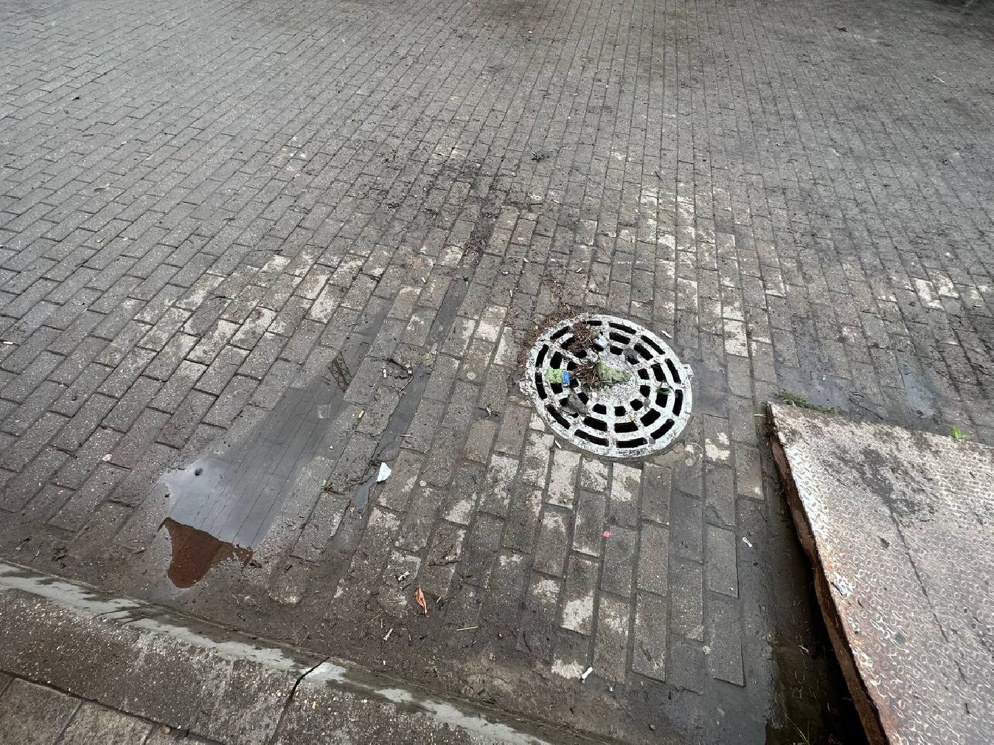 Стихия, ливень в Подмосковье, Оперативная работа спецслужб, Наро-Фоминск