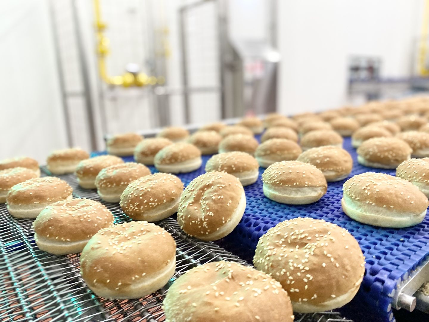 Домодедово, Российский производитель, пекарня, рабочие места, стабильная компания, продукты питания