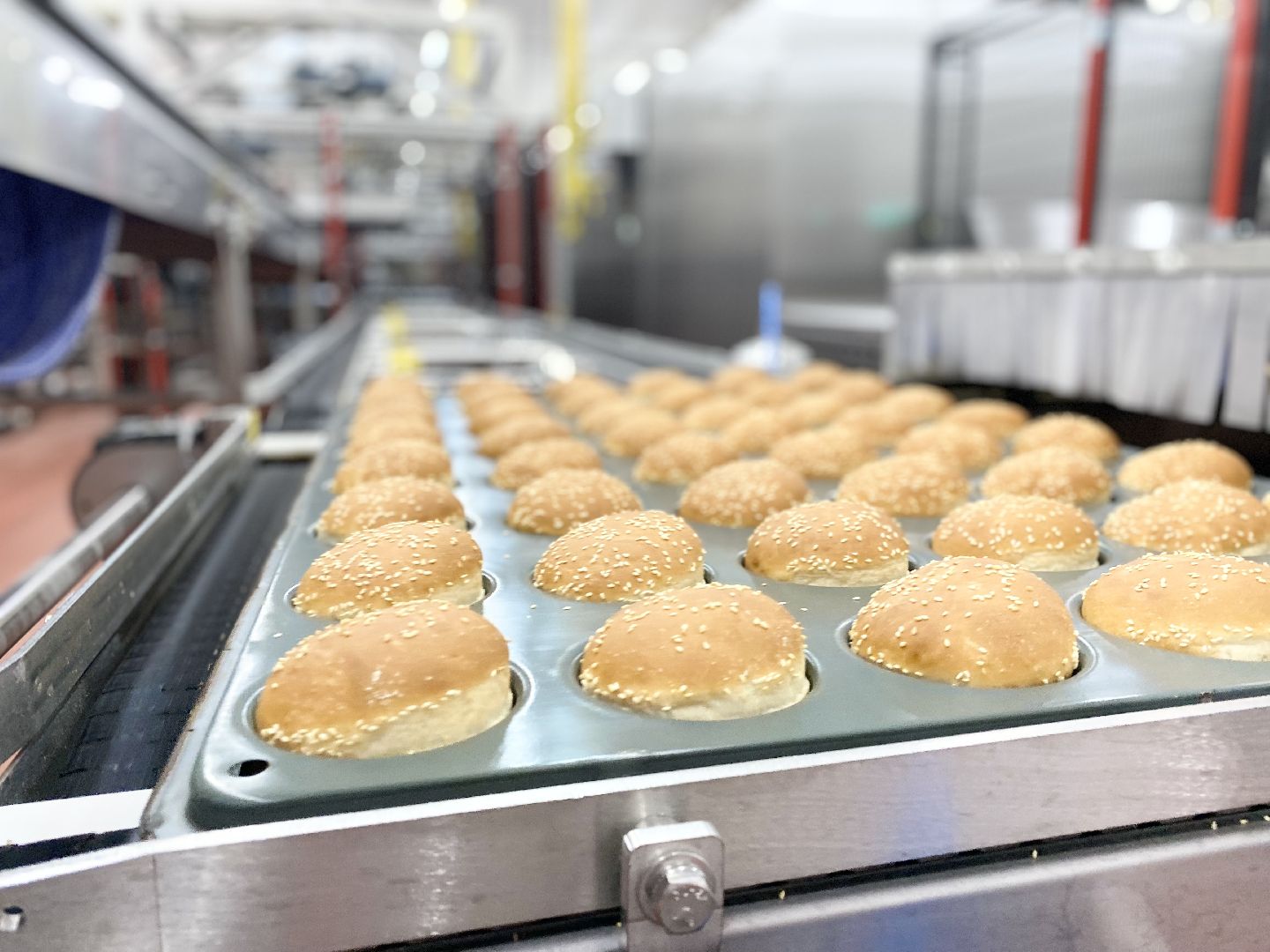 Домодедово, Российский производитель, пекарня, рабочие места, стабильная компания, продукты питания