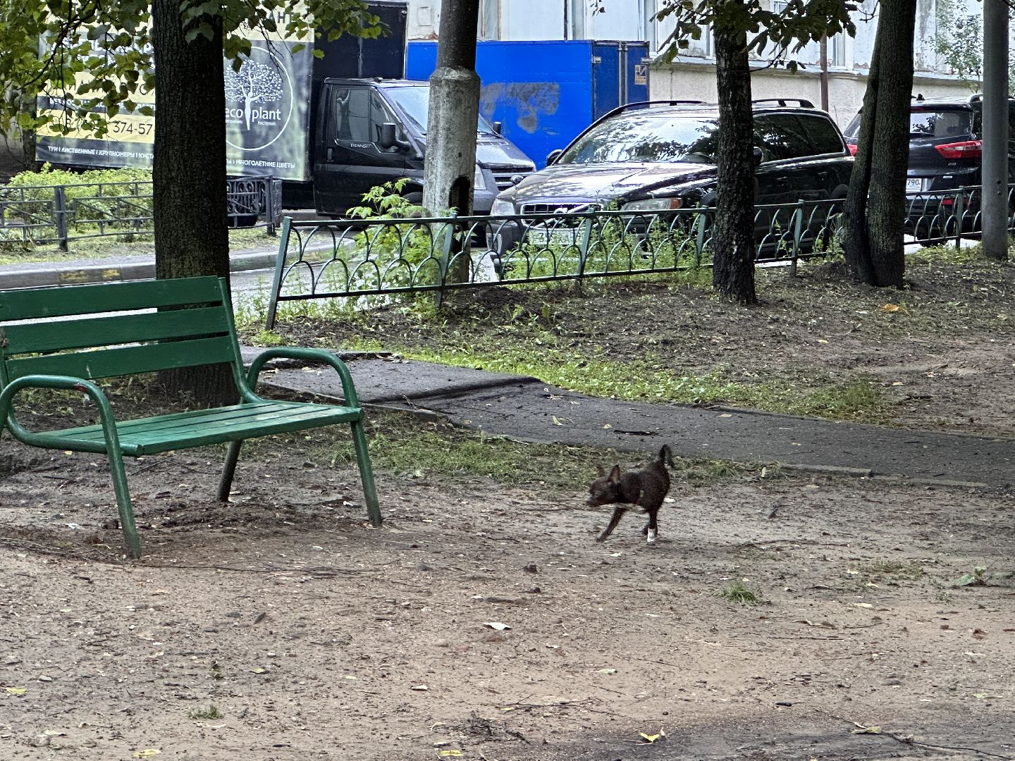 Одинцово, Благоустройство, Подмосковье