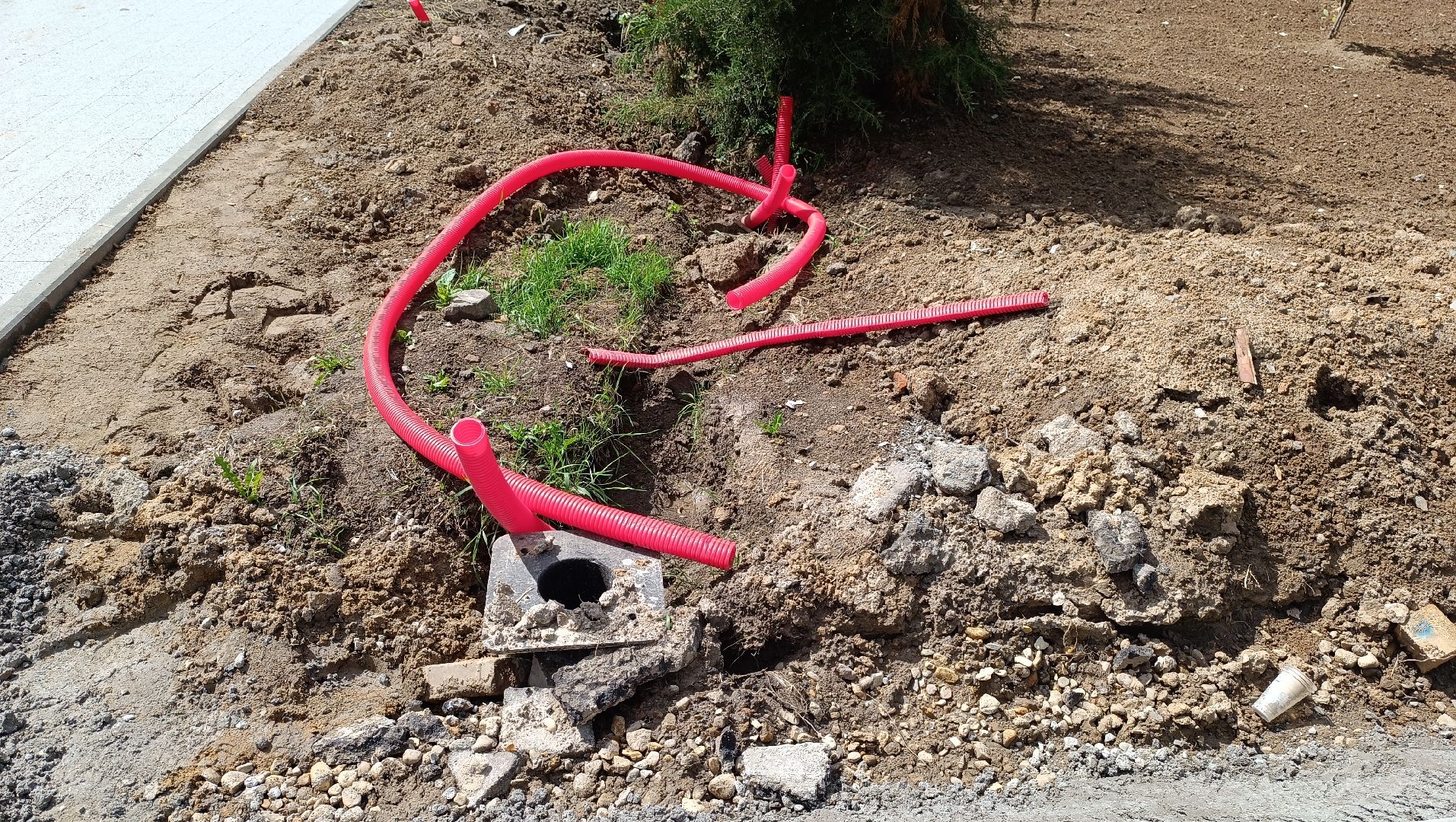 Лобня, благоустройство, парк