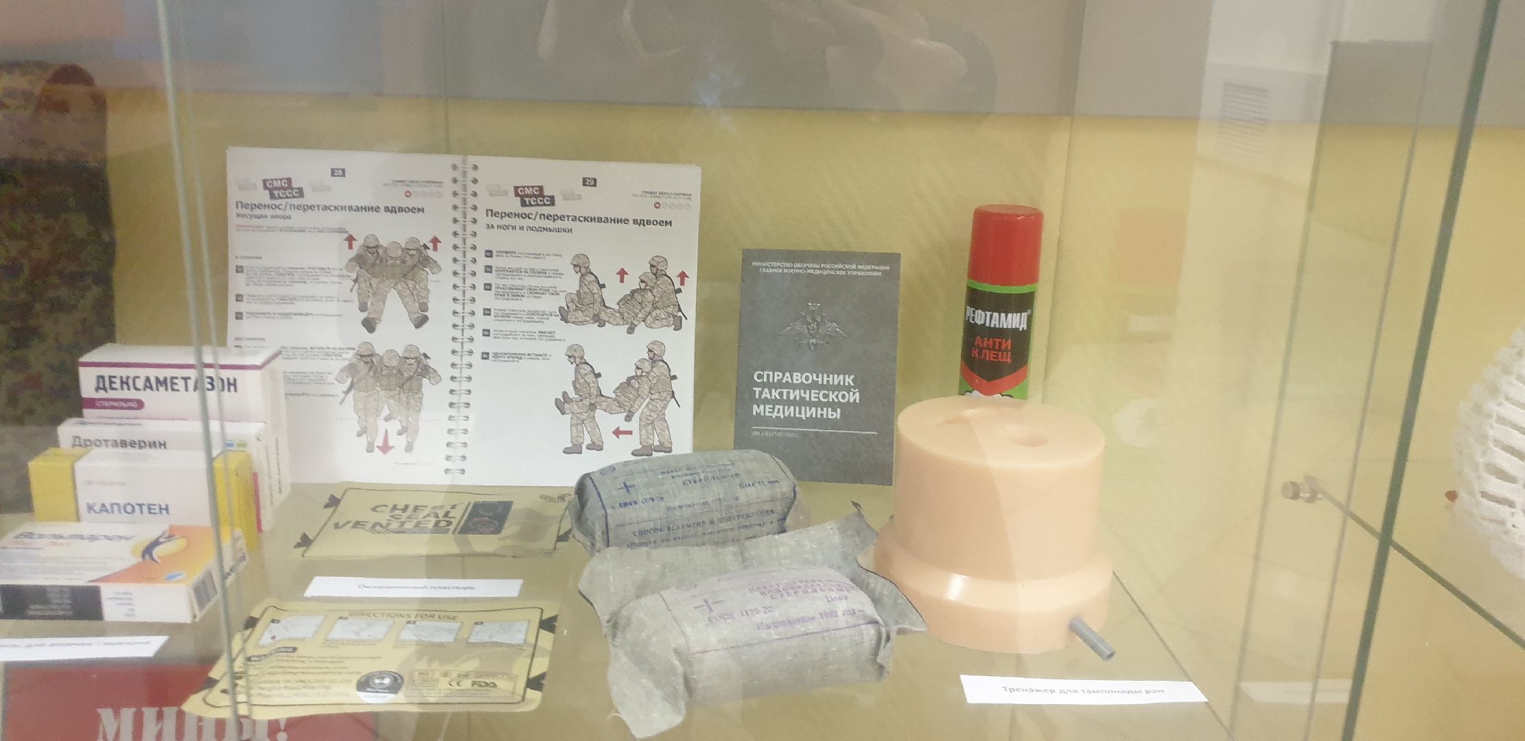 Долгопрудный, общественники, выставки, манекен