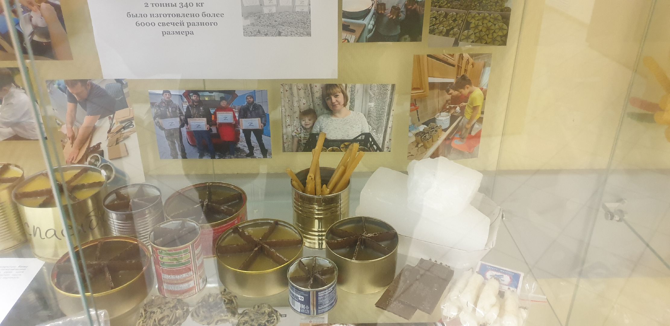 Долгопрудный, общественники, выставки, манекен