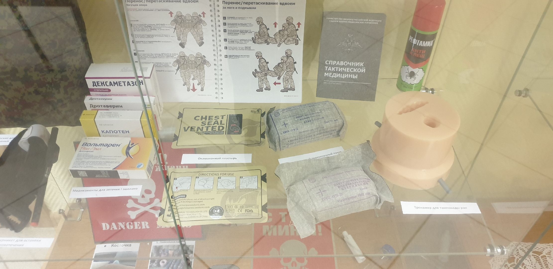 Долгопрудный, общественники, выставки, манекен