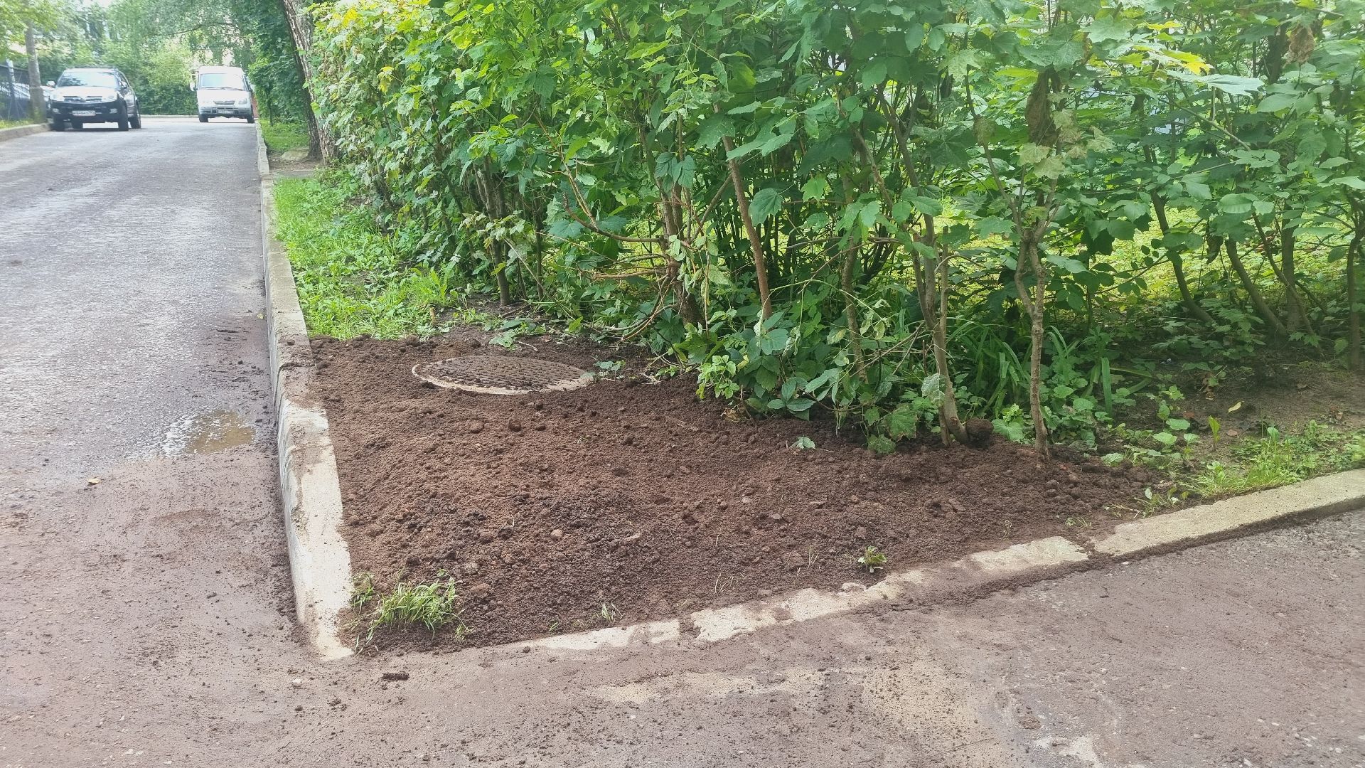 Подмосковье, Ивантеевка, погода