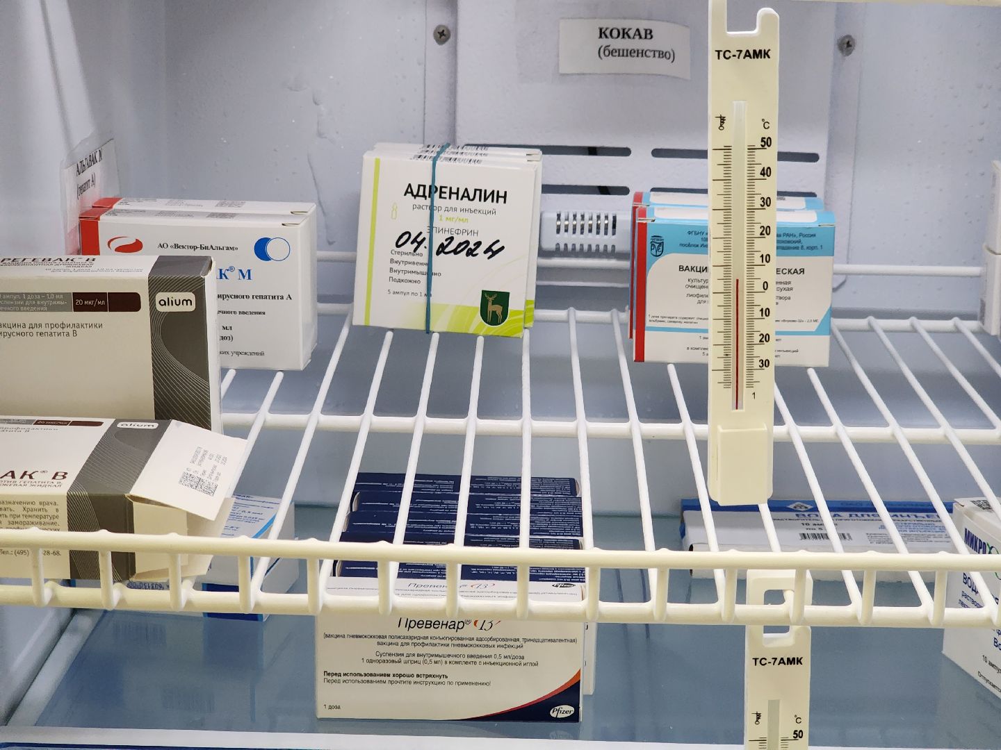 Долгопрудный, ДЦГБ, больница, инфекция, пневмококк