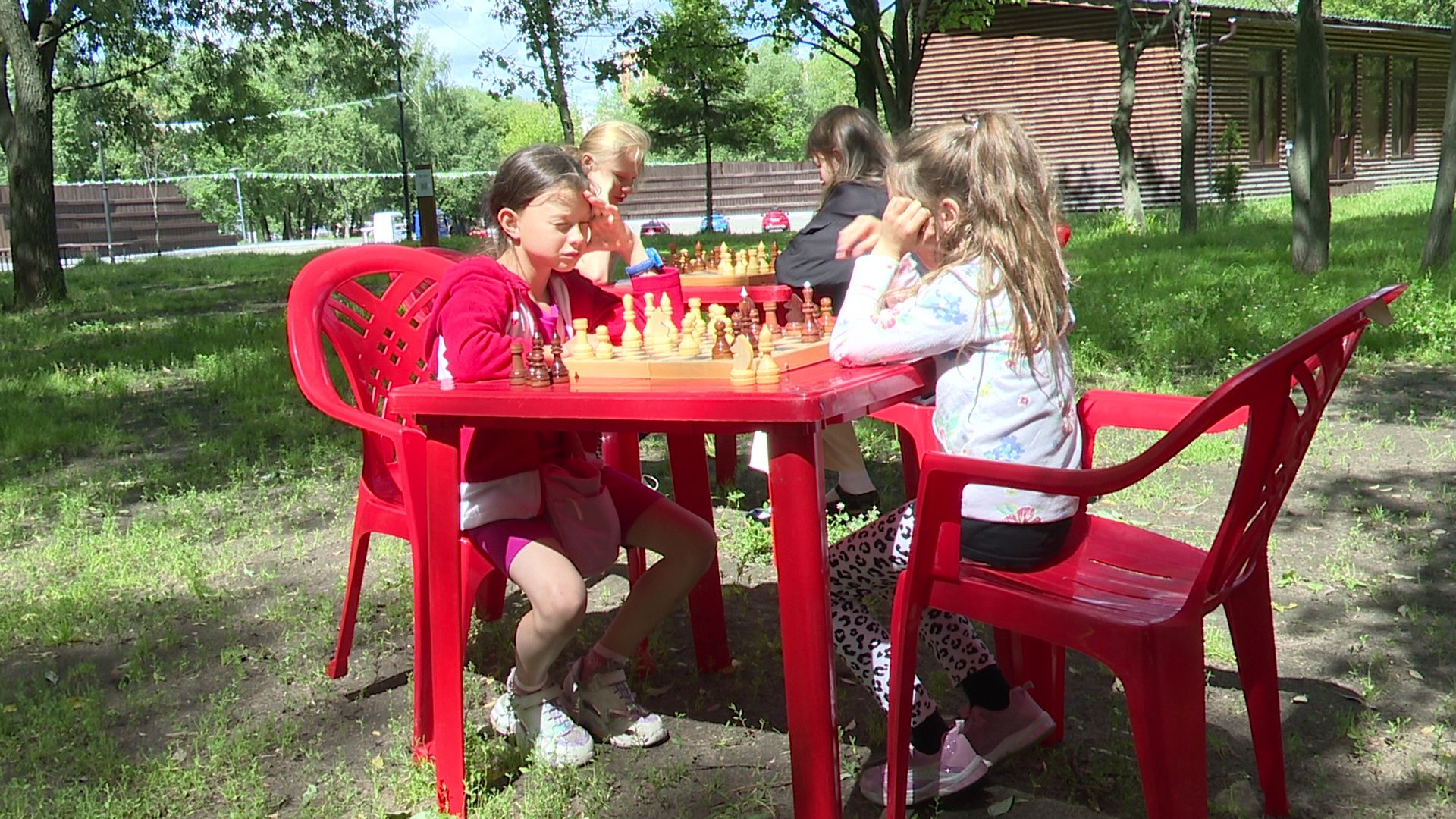 Реутов, Библиотеки в парке, проект, Лето в Подмосковье, мемоприятия