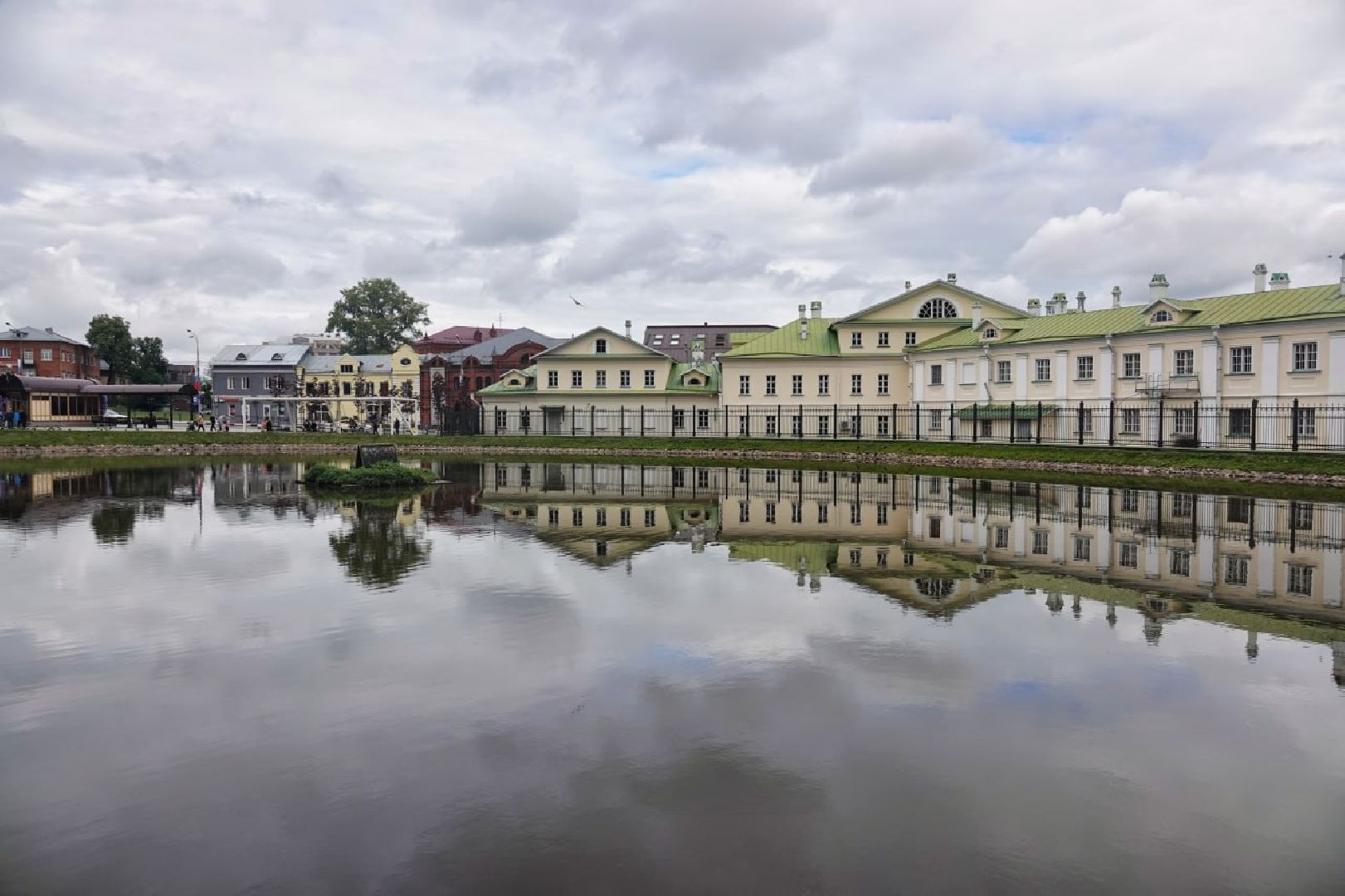 Сергиево-Посадский городской округ, Сергиев Посад, Белые лебеди, Потомство, Окружающий мир, Природа, Птицы