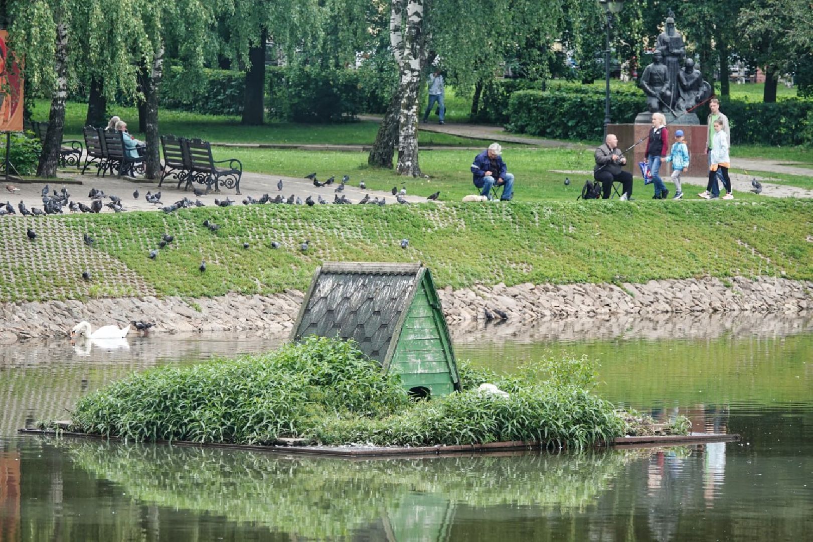 Сергиево-Посадский городской округ, Сергиев Посад, Белые лебеди, Потомство, Окружающий мир, Природа, Птицы