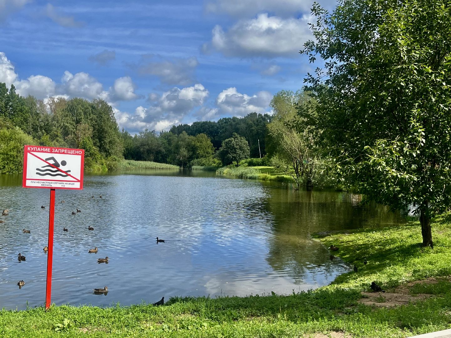 Наро-Фоминск, благоустройство, тротуар, зоны отдыха, лето в Подмосковье