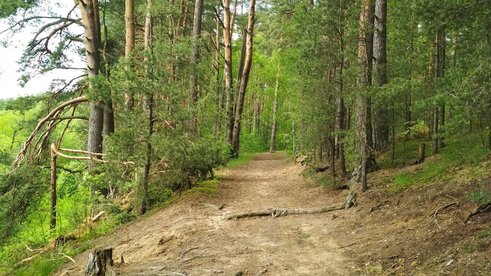 Субботник, благоустройство,Опалиха