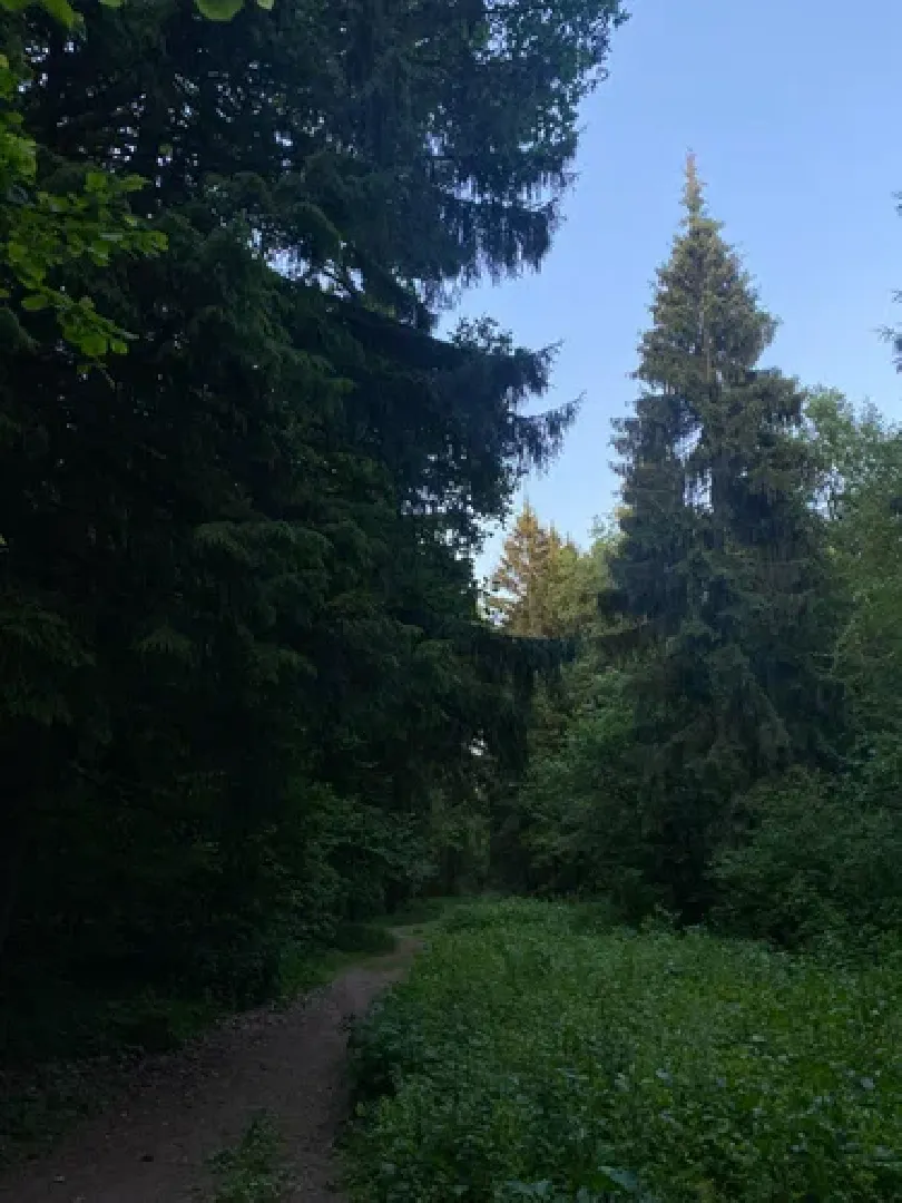 Субботник, благоустройство,Опалиха