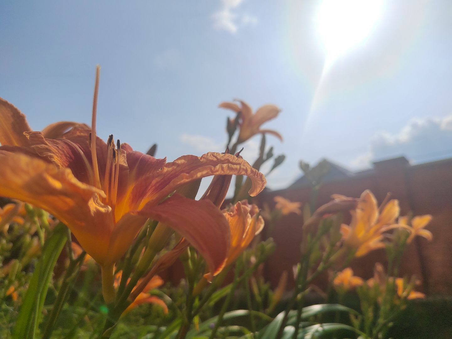 Пушкино, природа, люди, общество