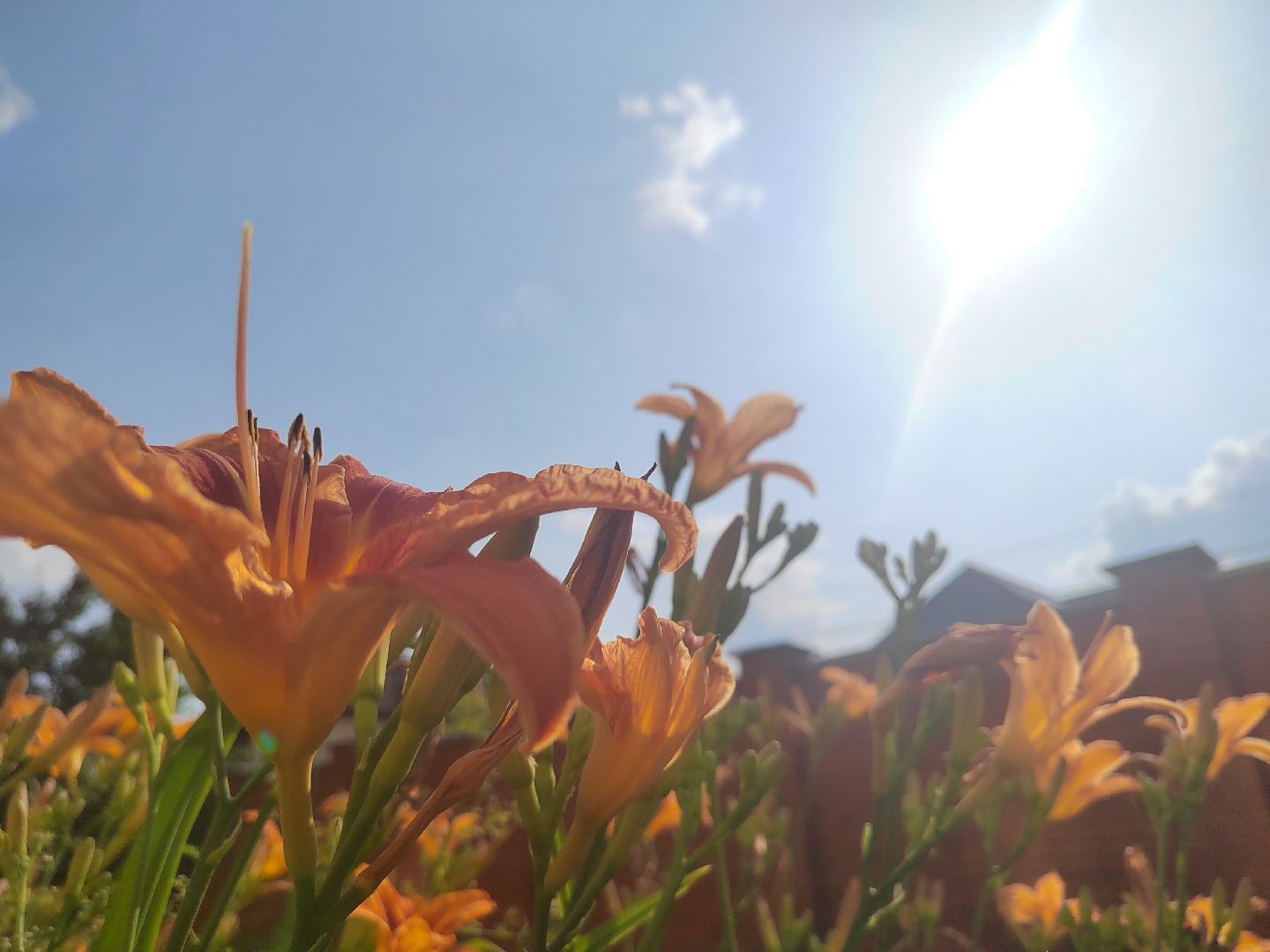 Пушкино, природа, люди, общество