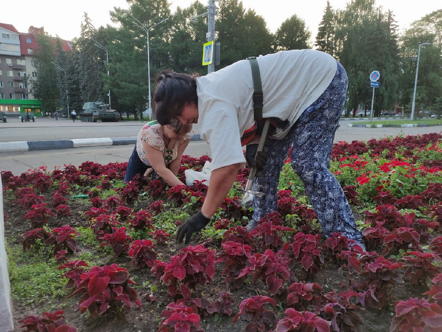 лыткарино, жкх, цветы,