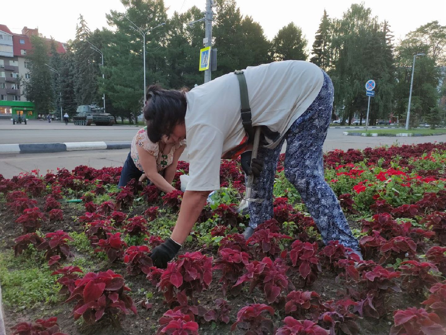 лыткарино, жкх, цветы,