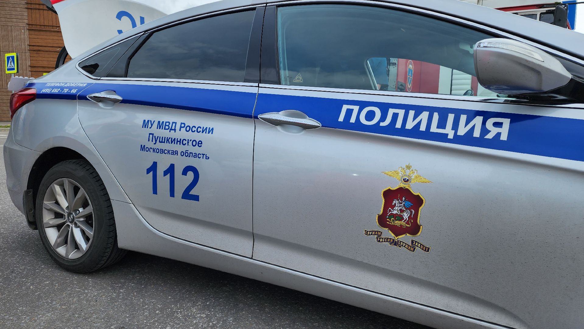 Пушкино, ТЦ Акварель, Полиция, ГИБДД, полиция России, МВД России