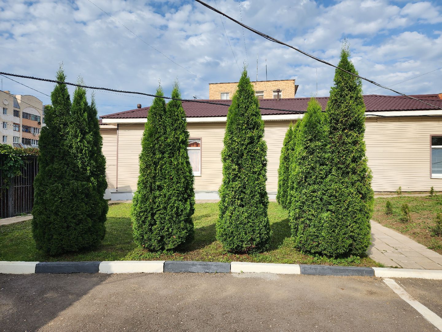 МВД, Аллея Ветеранов, полиция, Ногинск, Богородский городской округ